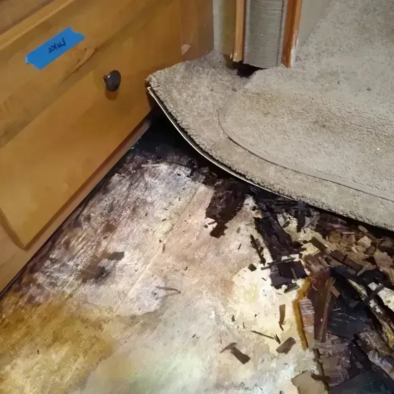 Wood Floor Water Damage in Woodridge, IL